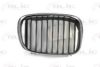 BMW 51138159316 Radiator Grille